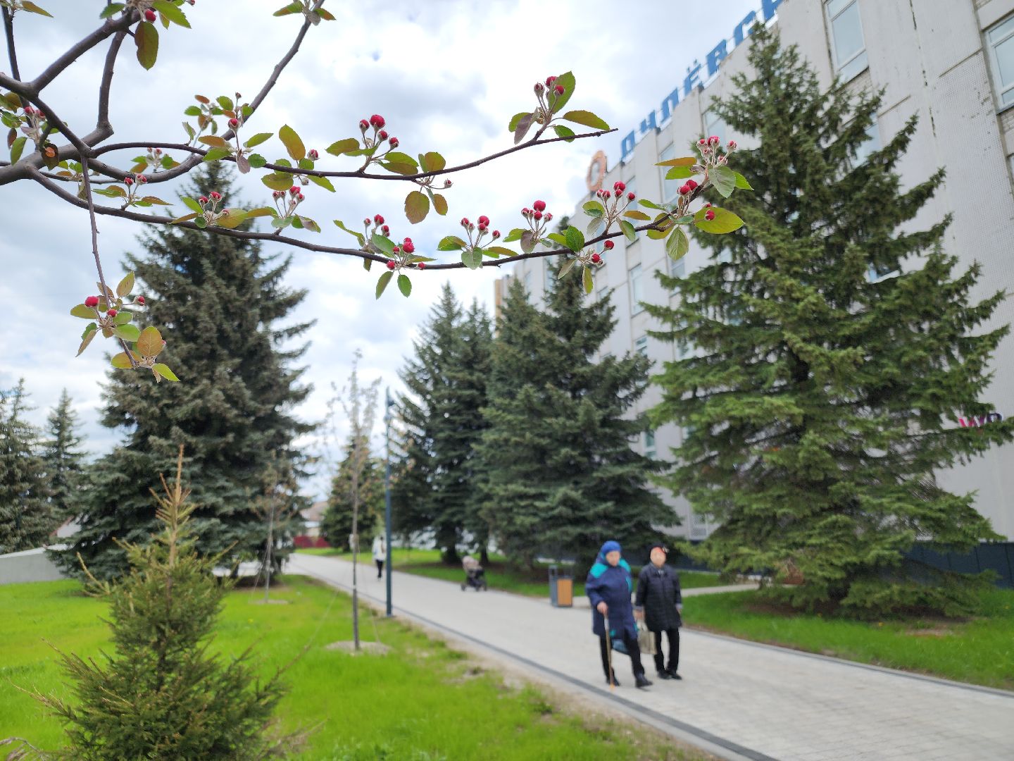 день победы, 80 лет победе, ликино-дулево, орехово-зуевский округ,