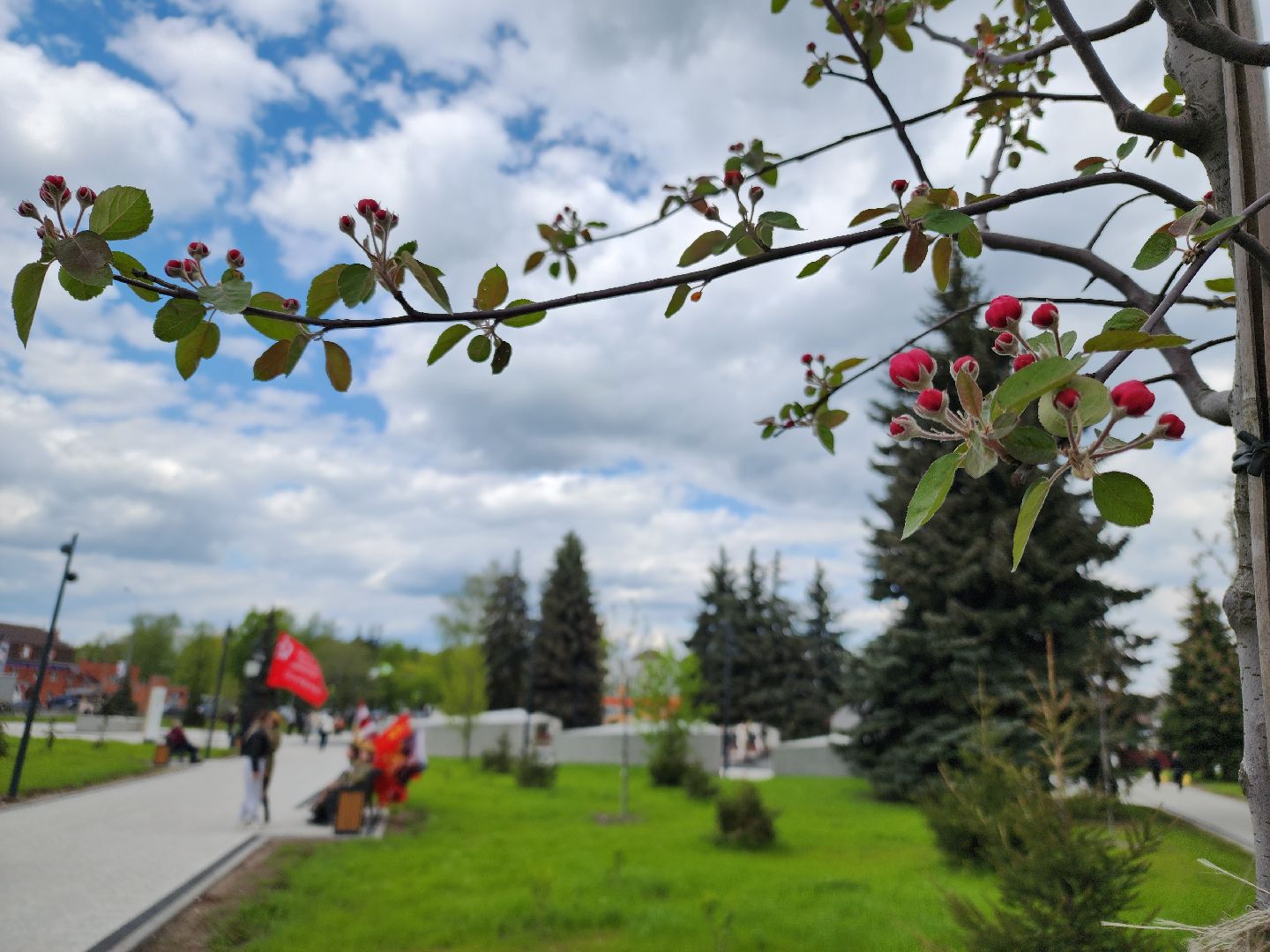 день победы, 80 лет победе, ликино-дулево, орехово-зуевский округ,