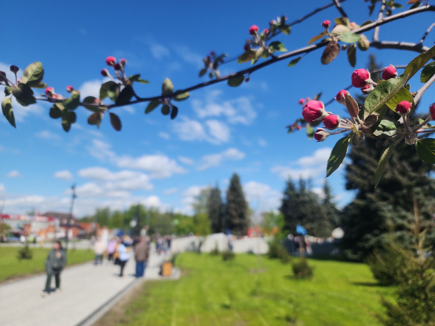 день победы, 80 лет победе, ликино-дулево, орехово-зуевский округ,