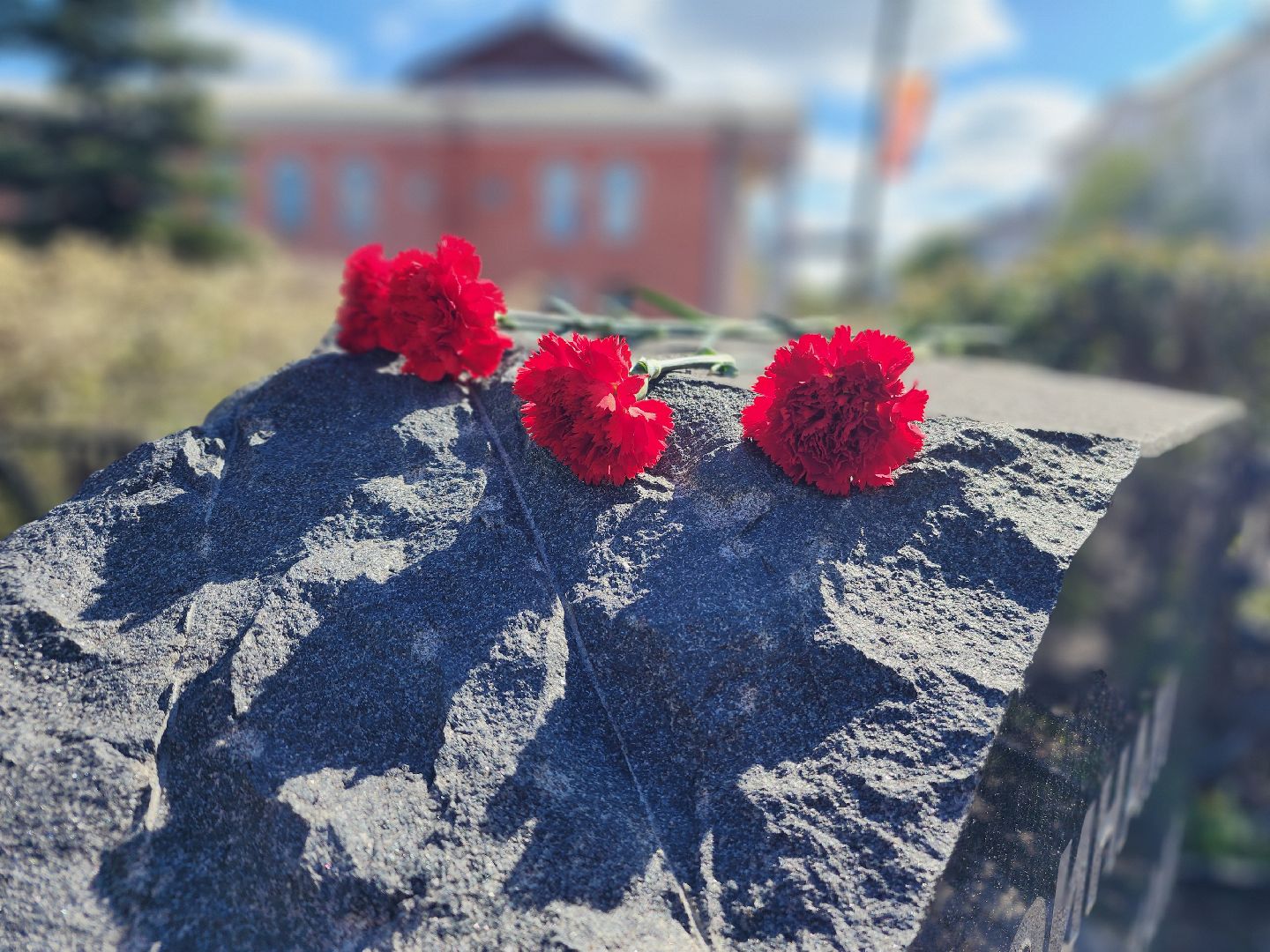 фрязино, возложение цветов, 80-летие великой победы, мемориал,