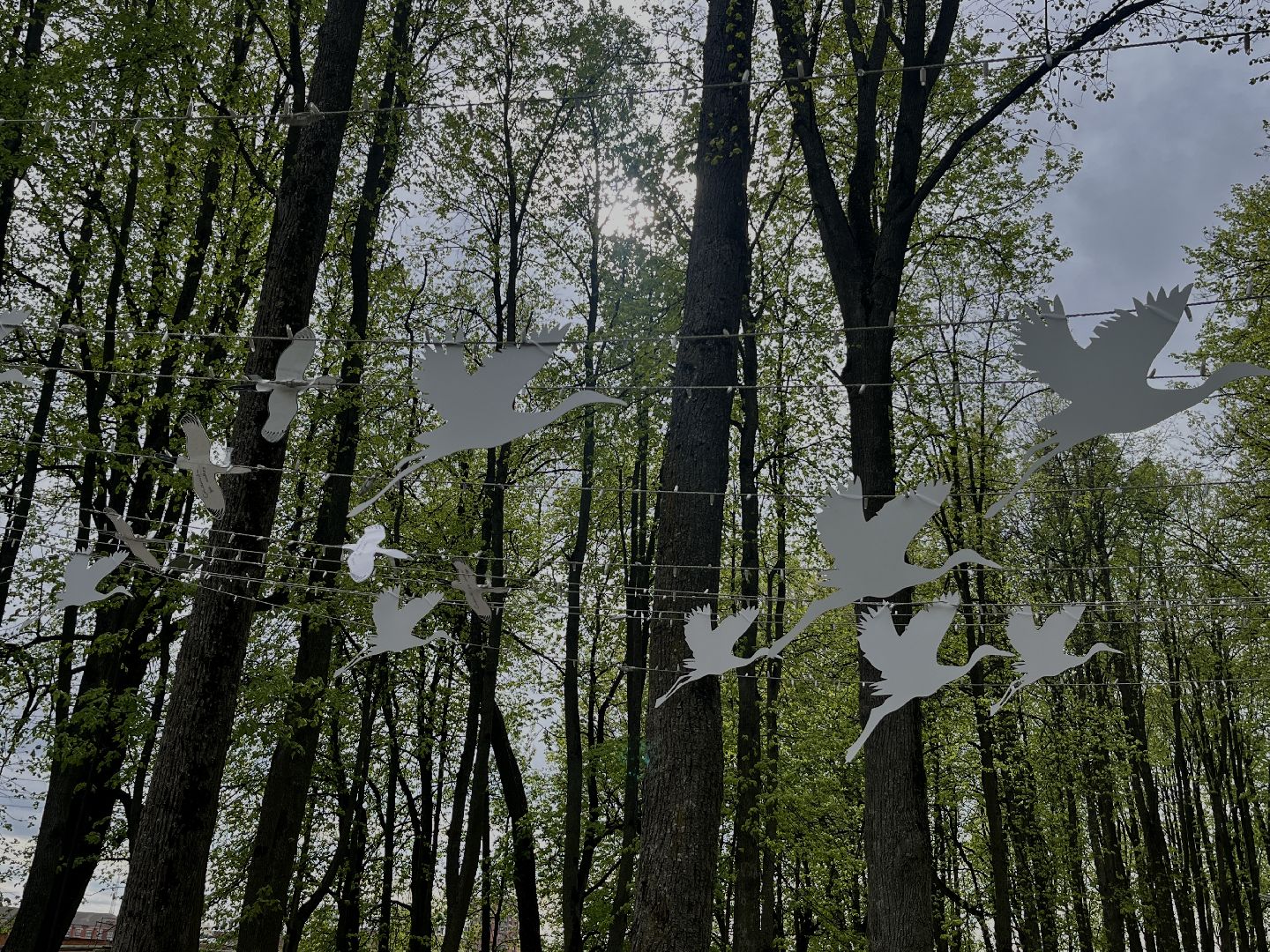 наро-фоминск, наро-фоминский городской округ, день победы, центральный парк наро-фоминска, победный май,