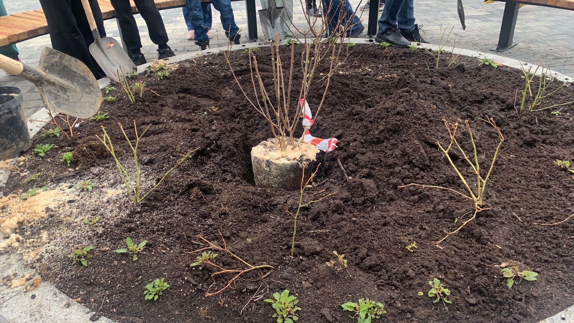 Ступино, глава, площадь Металлургов