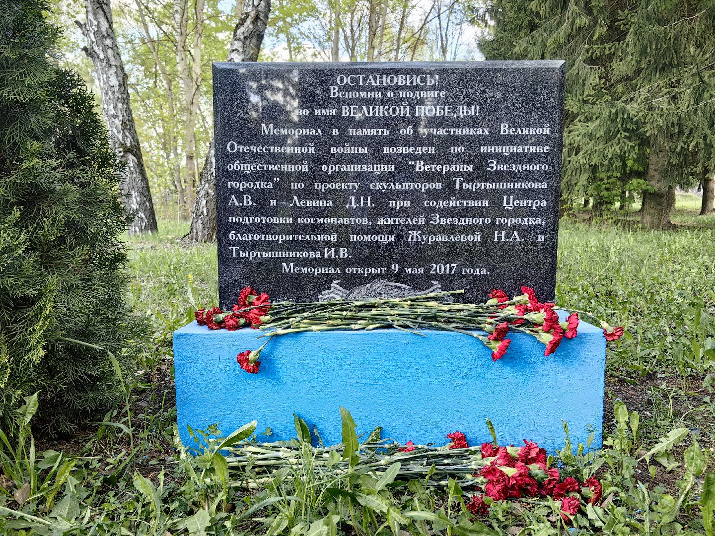 мемориал, цветы, гвоздики, 9 мая,