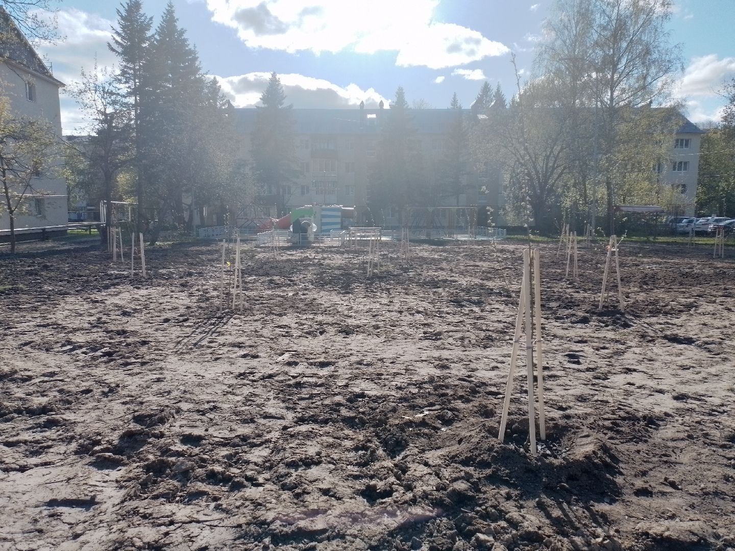 благоустройство, городской округ восход, вов, сад памяти,