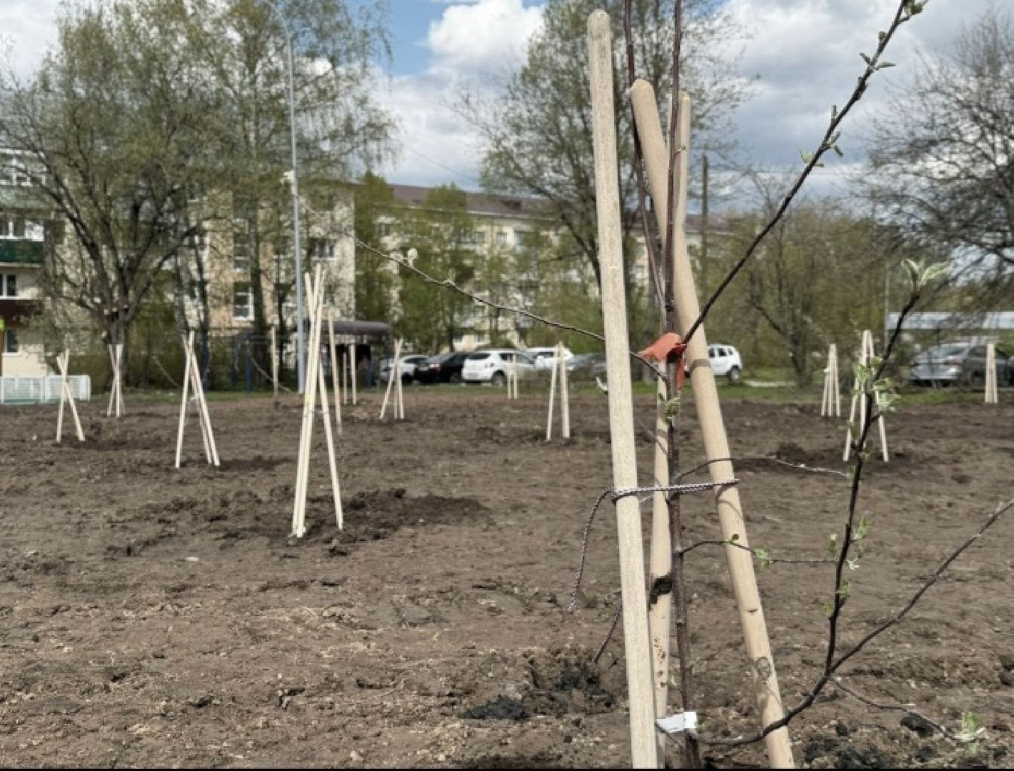 благоустройство, городской округ восход, вов, сад памяти,