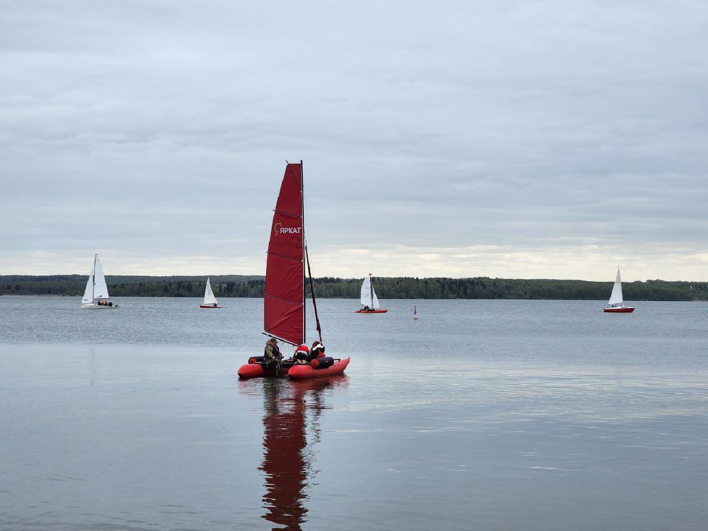 солнечногорск, день победы, регата,  праздник, 9 мая,