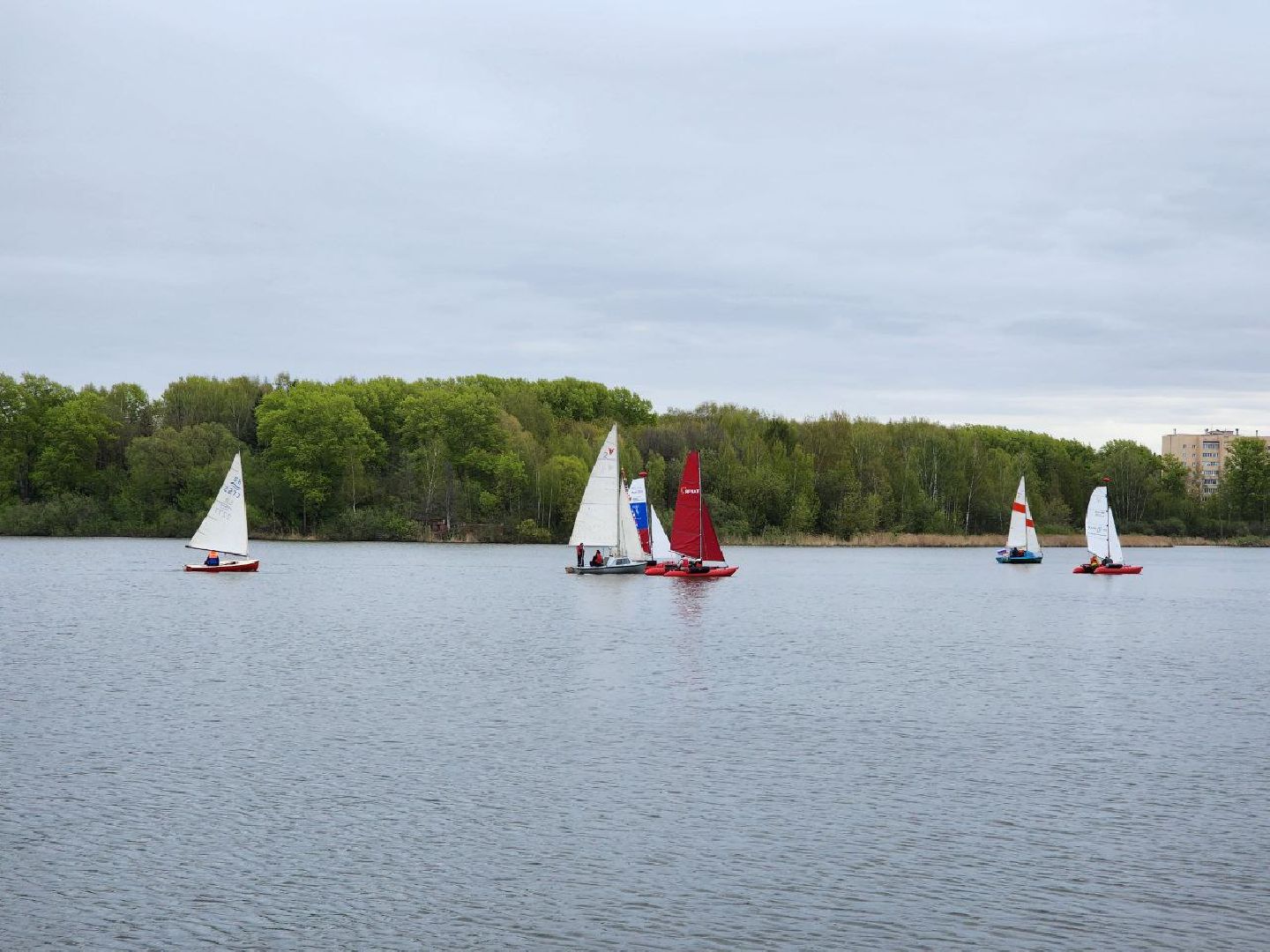 солнечногорск, день победы, регата,  праздник, 9 мая,