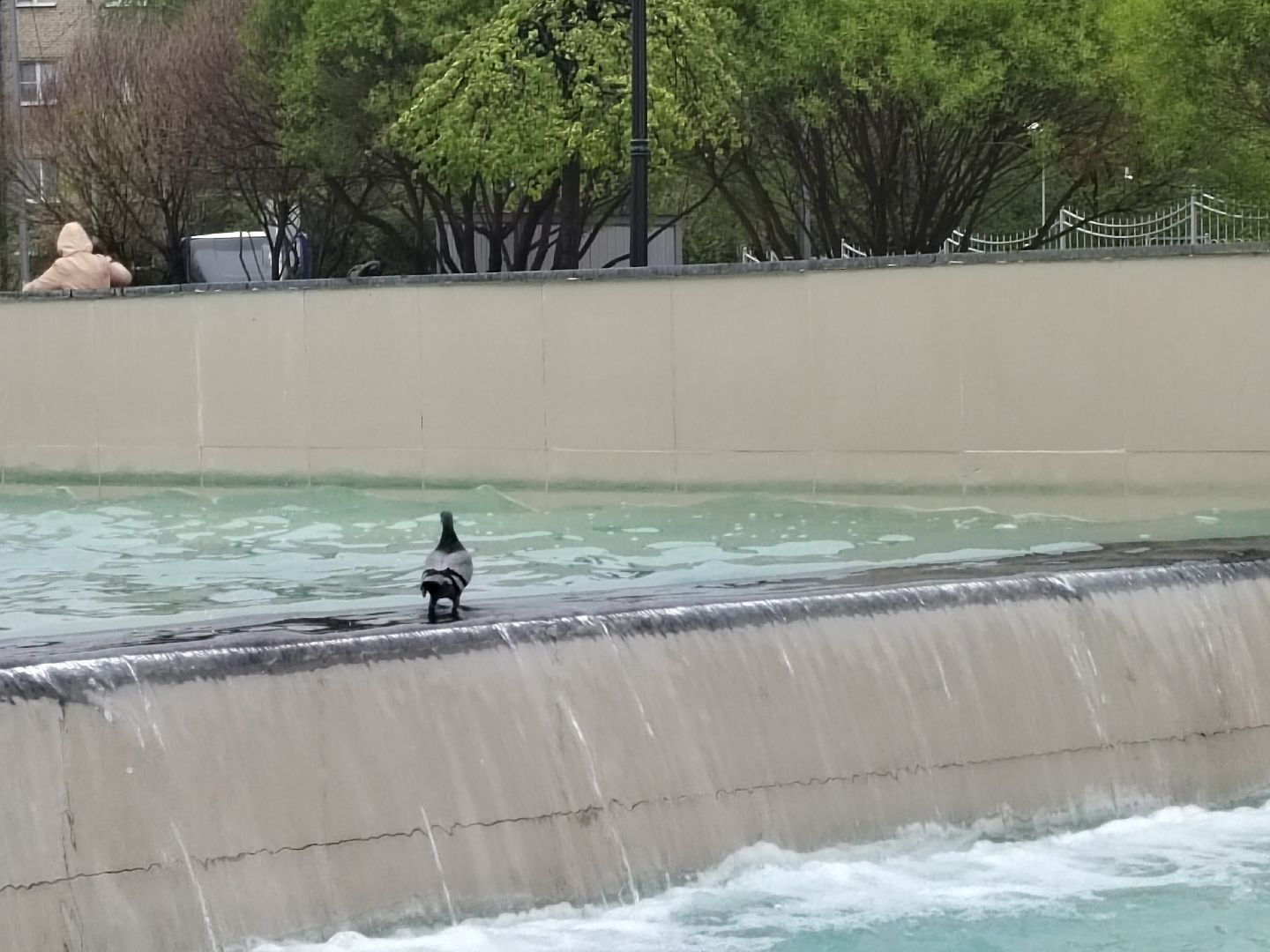 Пушкино, Пушкинский округ, фонтаны, памятник, жители, весна в Подмосковье