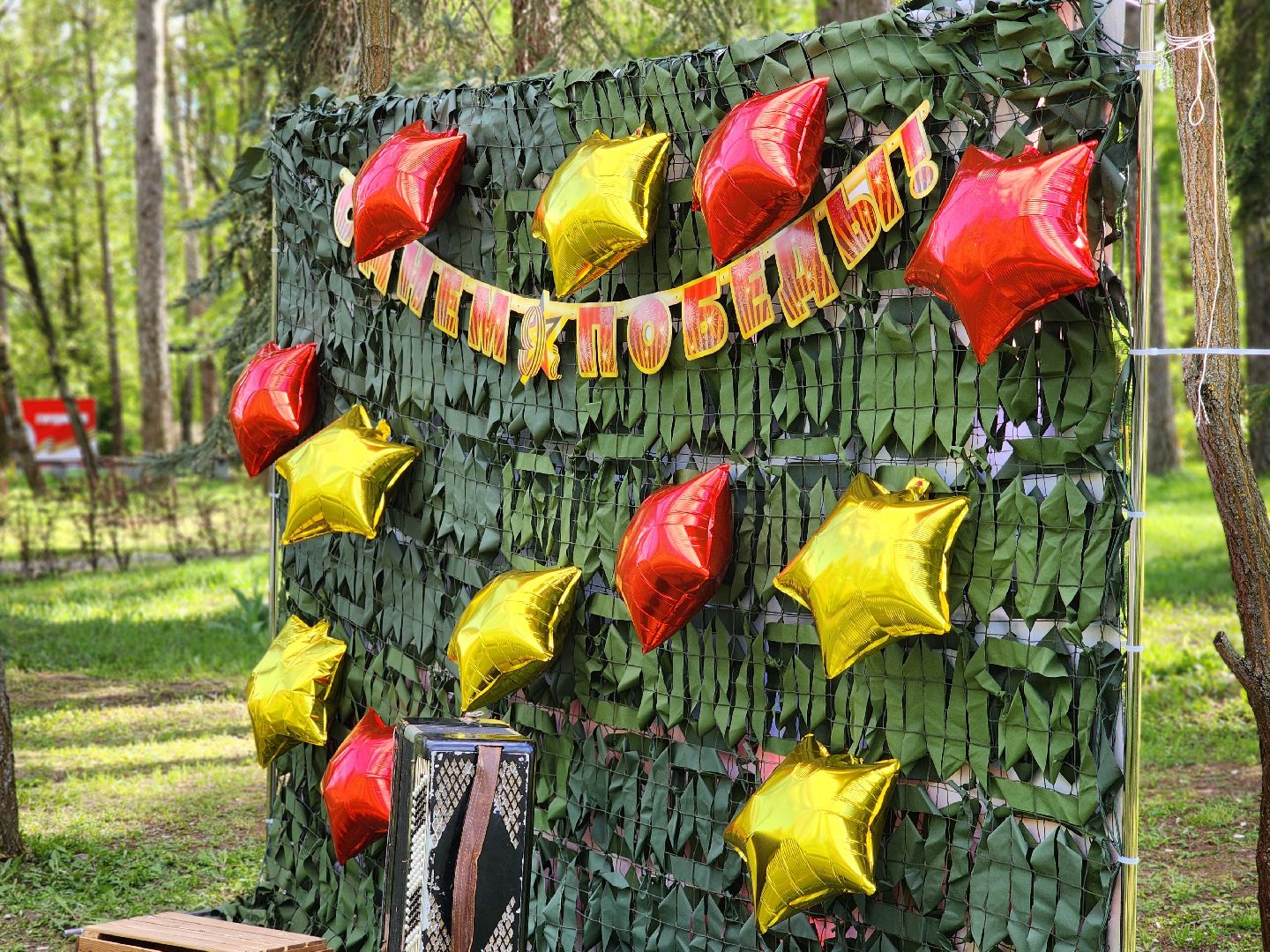 воскресенск, день победы,