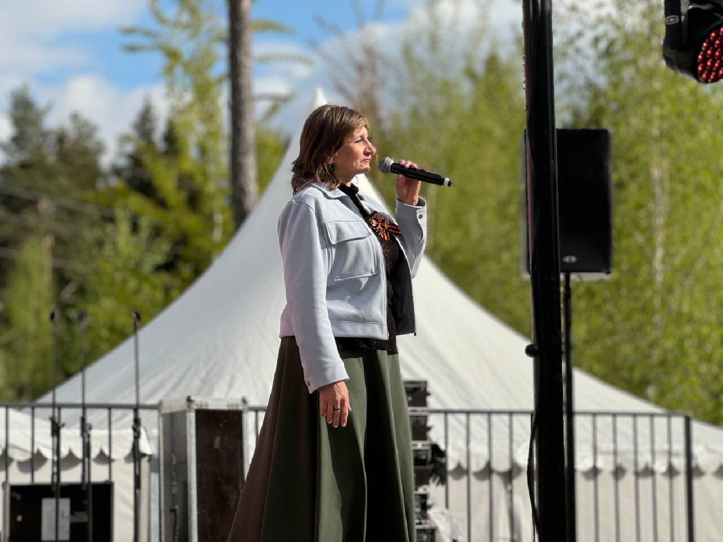 пестовский парк, день победы, 9 мая, концерт,