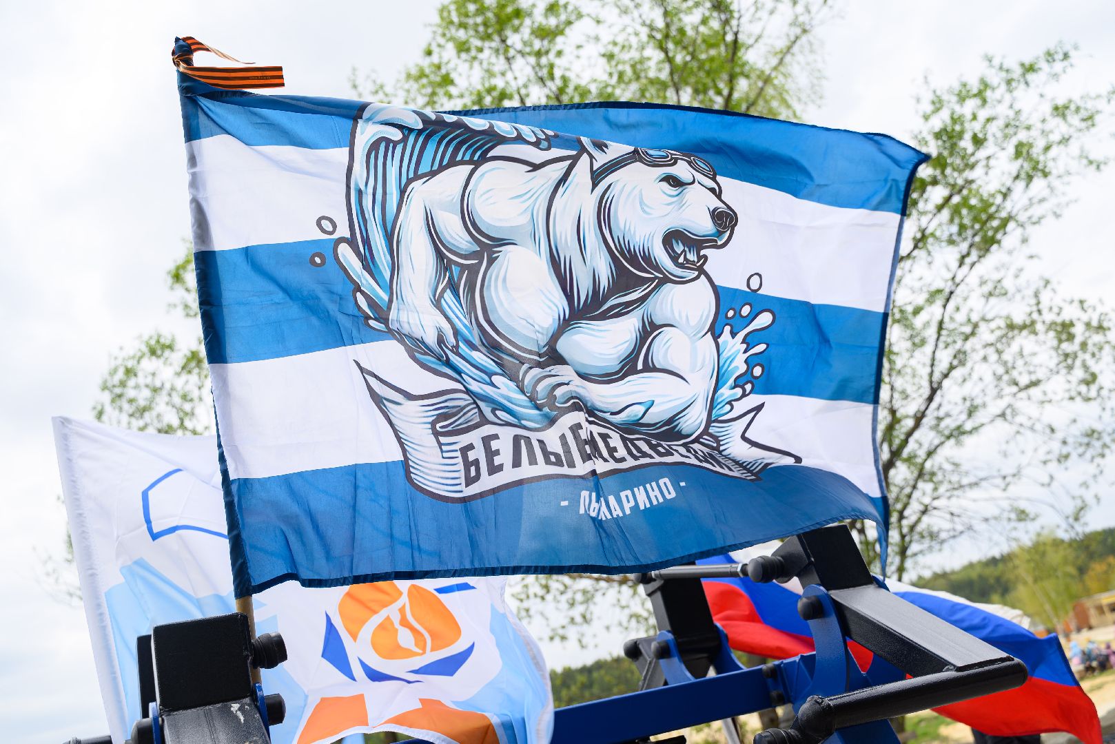 общество, белые медведи, патриотизм, день победы, лыткарино, 9 мая,