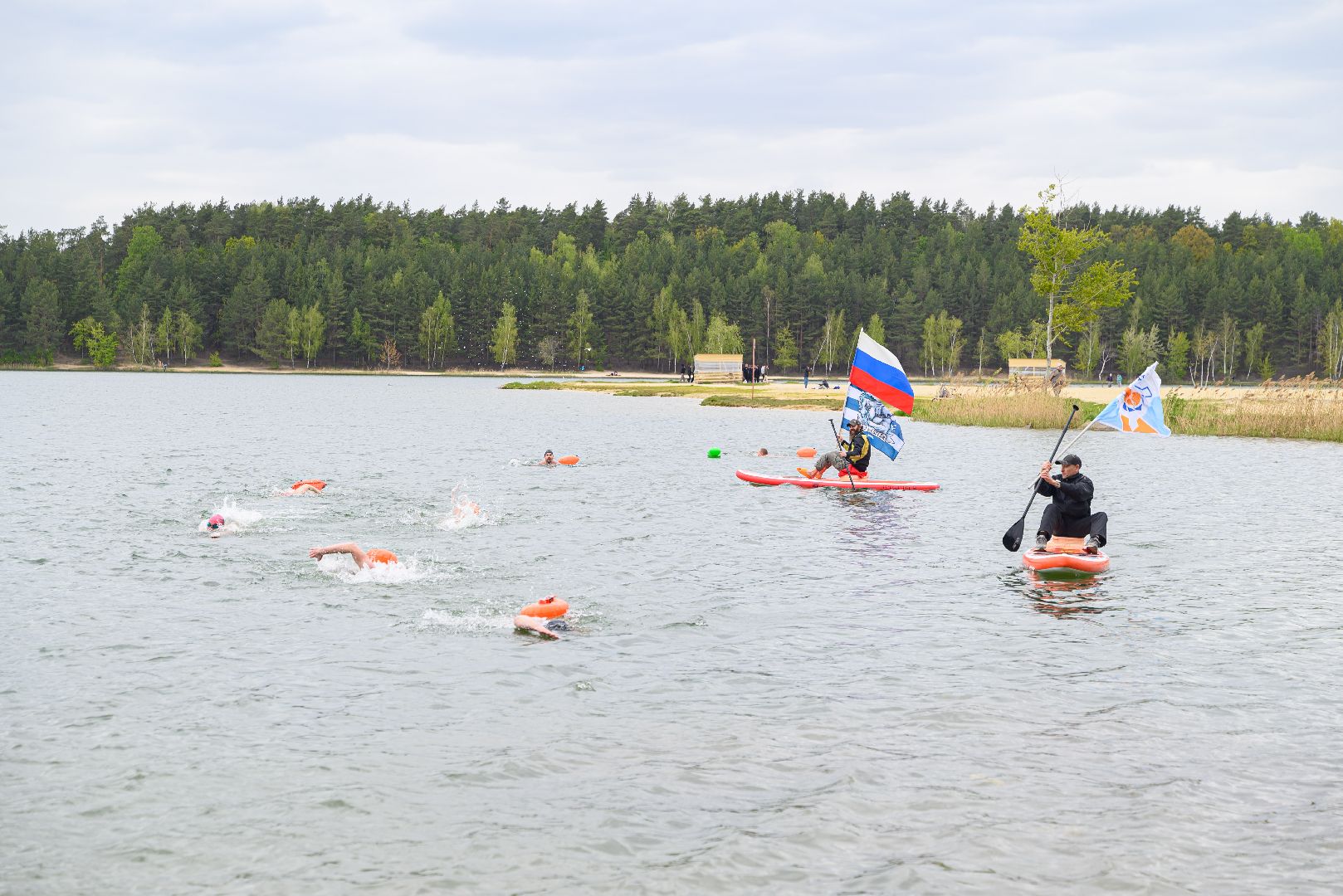 общество, белые медведи, патриотизм, день победы, лыткарино, 9 мая,
