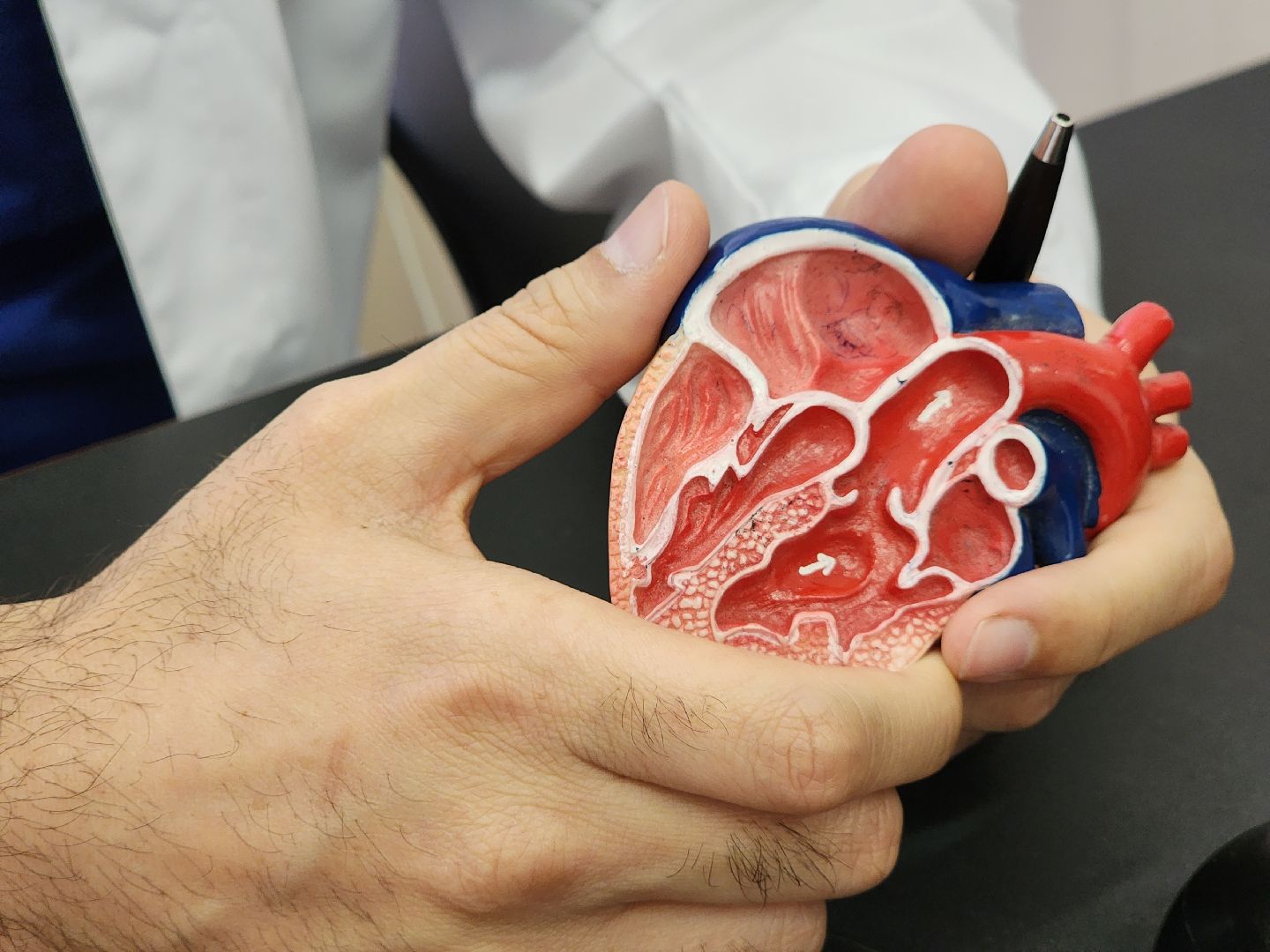 Егорьевск , Подмосковье , Московская область ,