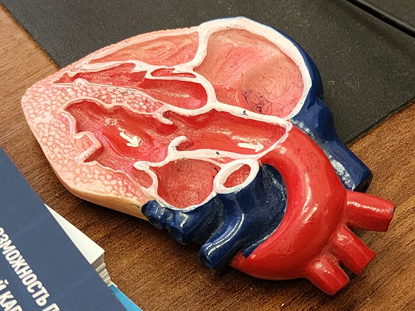 Егорьевск , Подмосковье , Московская область ,