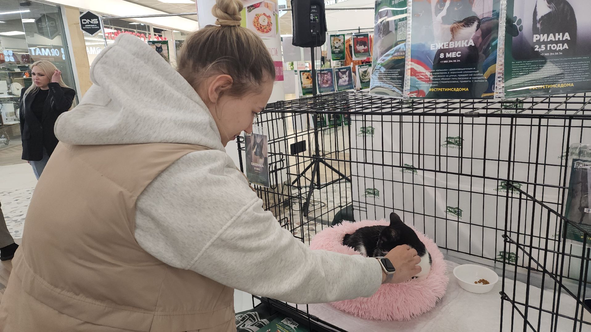 пушкино, пристройство, бездомные животные, кошки, собаки, гости,кинолог, канистерапия,вертикалки,