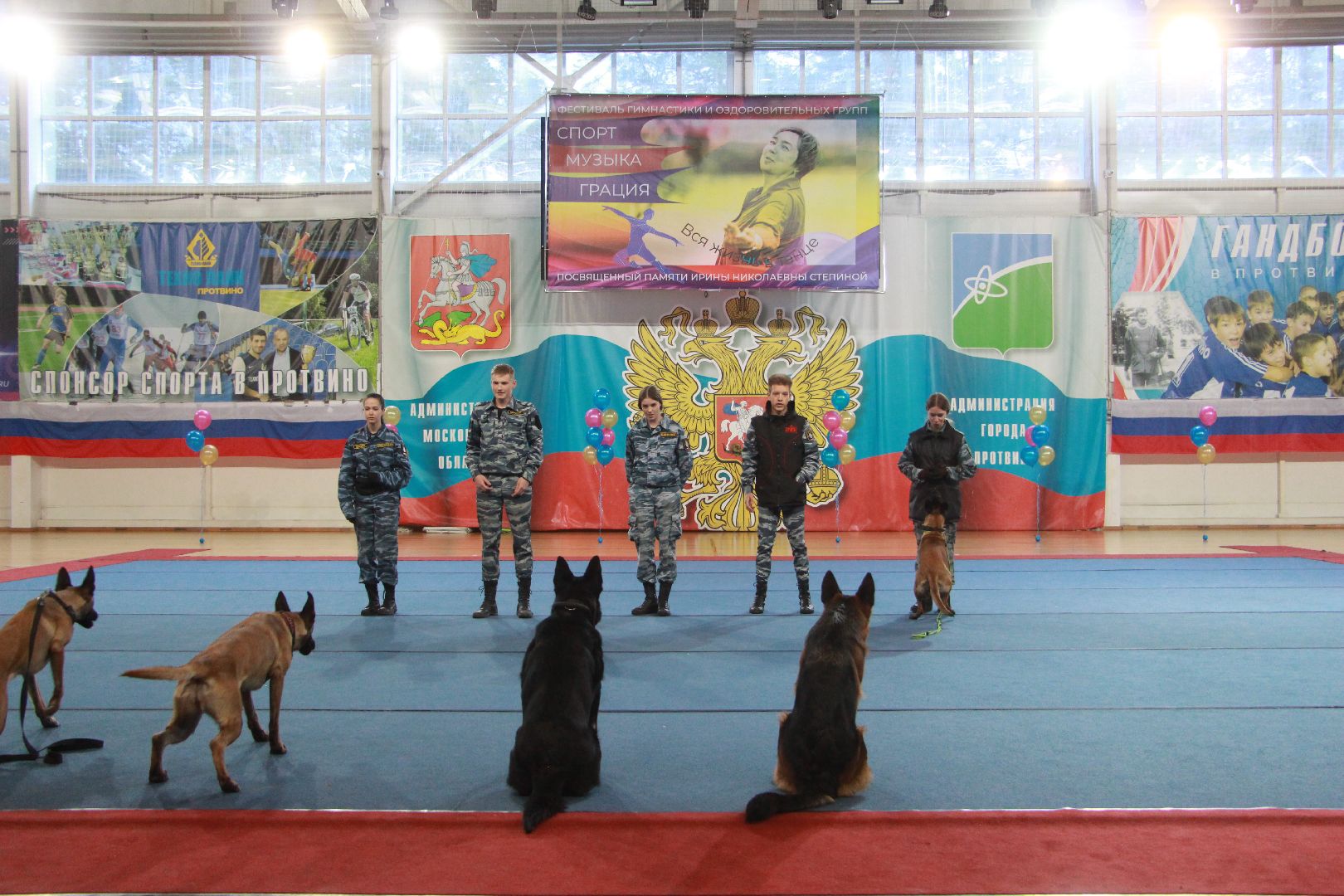 кинологи, выступление, спорт музыка грация, фестиваль, Протвино