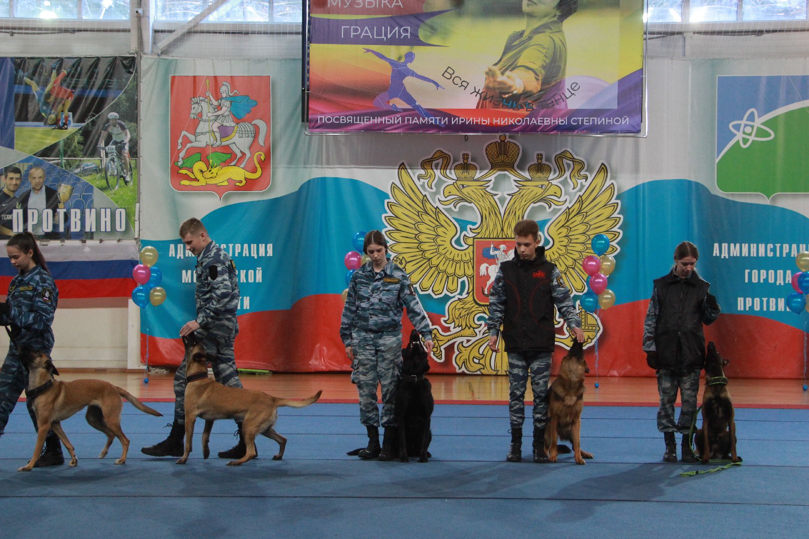 кинологи, выступление, спорт музыка грация, фестиваль, Протвино