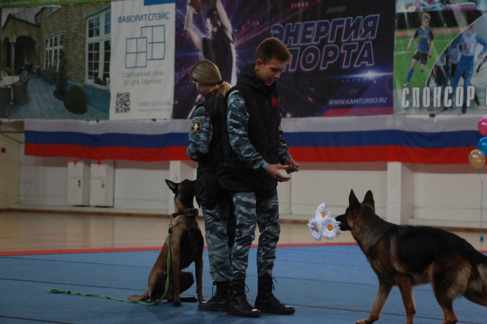 кинологи, выступление, спорт музыка грация, фестиваль, Протвино