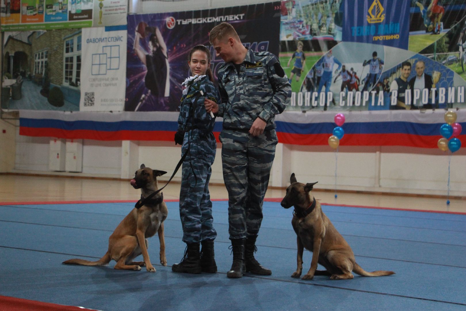 кинологи, выступление, спорт музыка грация, фестиваль, Протвино