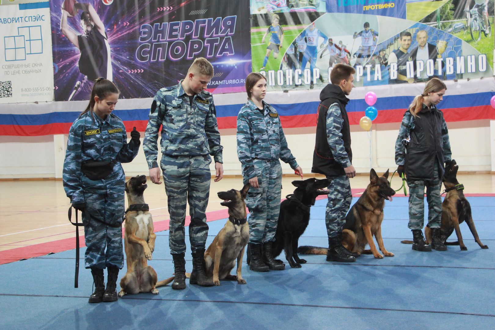 кинологи, выступление, спорт музыка грация, фестиваль, Протвино