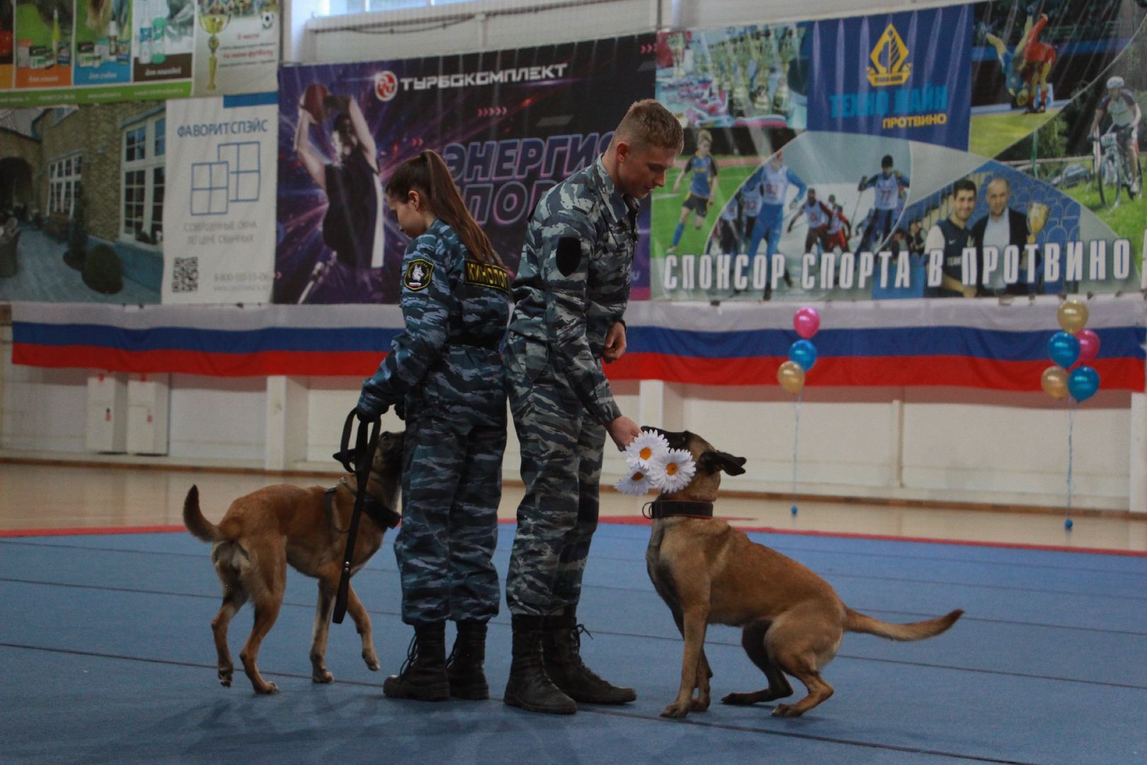 кинологи, выступление, спорт музыка грация, фестиваль, Протвино