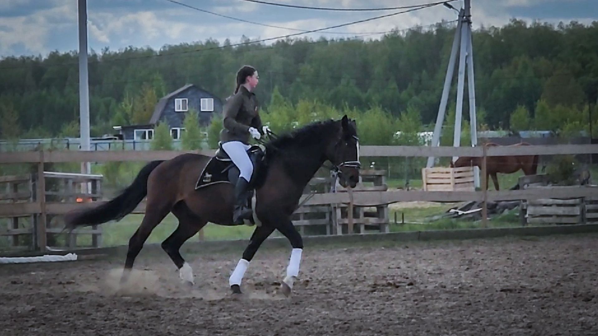 раменский округ , деревня салтыково, конный клуб салтыково, дети, лошади ,