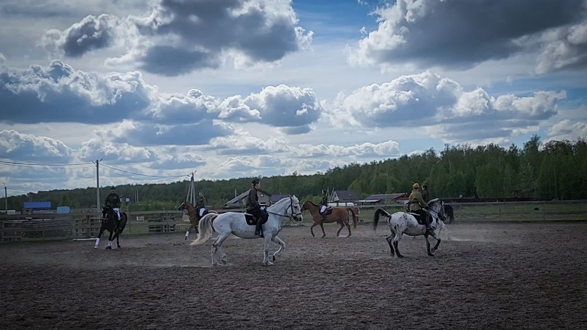 раменский округ , деревня салтыково, конный клуб салтыково, дети, лошади ,
