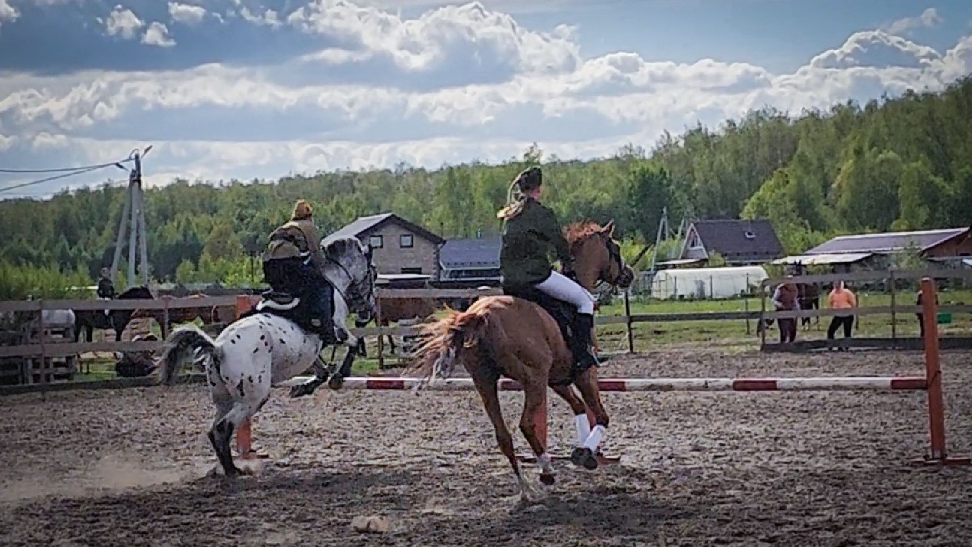 раменский округ , деревня салтыково, конный клуб салтыково, дети, лошади ,