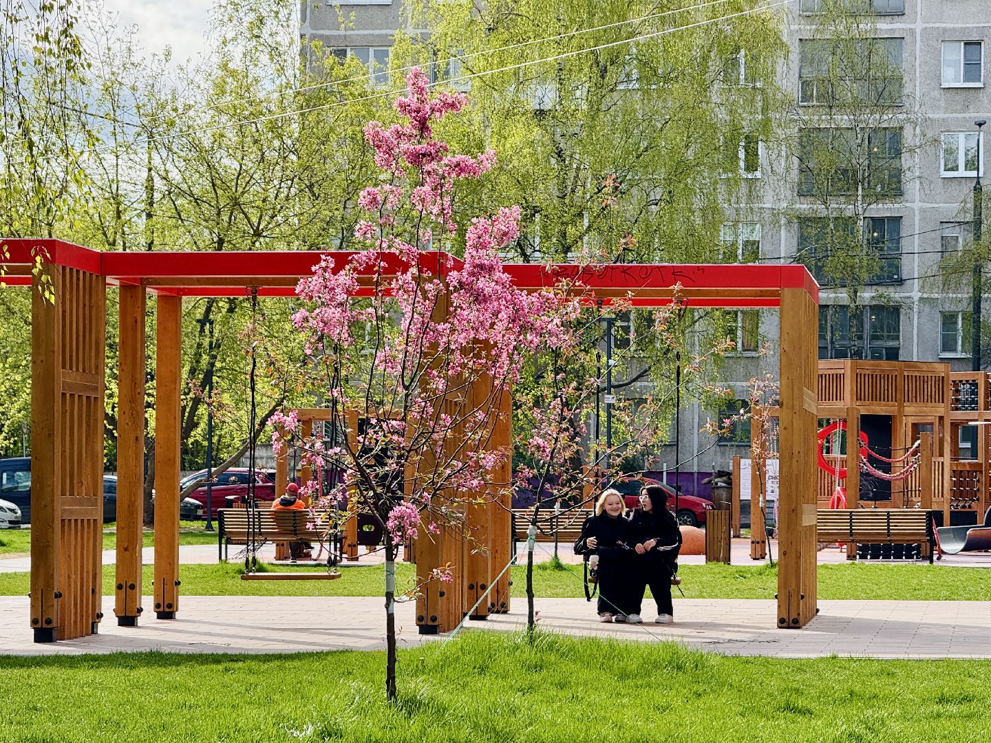 раменское, сакура, цветение, сквер, благоустройство,