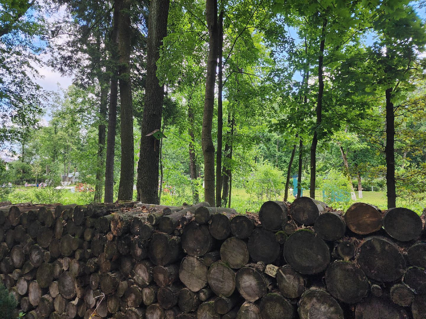 благоустройство,  комфортная городская среда, голосование, объекты благоустройства, богородский городской округ,