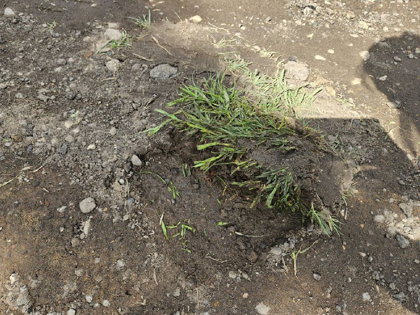 Одинцово, Выездная администрация, местное самоуправление,