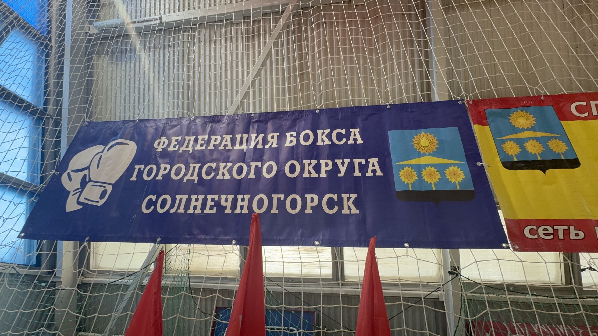 солнечногорск, спорт, бокс, чемпионат, медали,