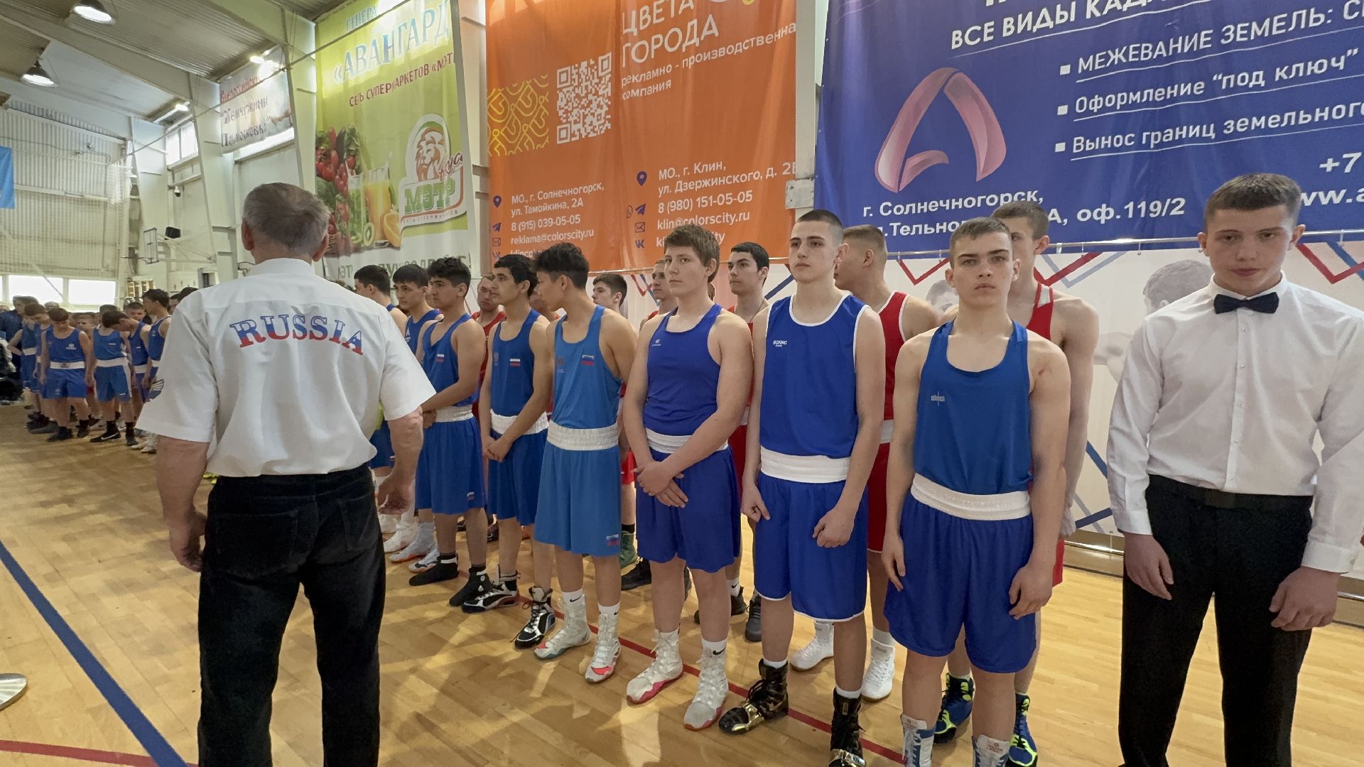 солнечногорск, спорт, бокс, чемпионат, медали,