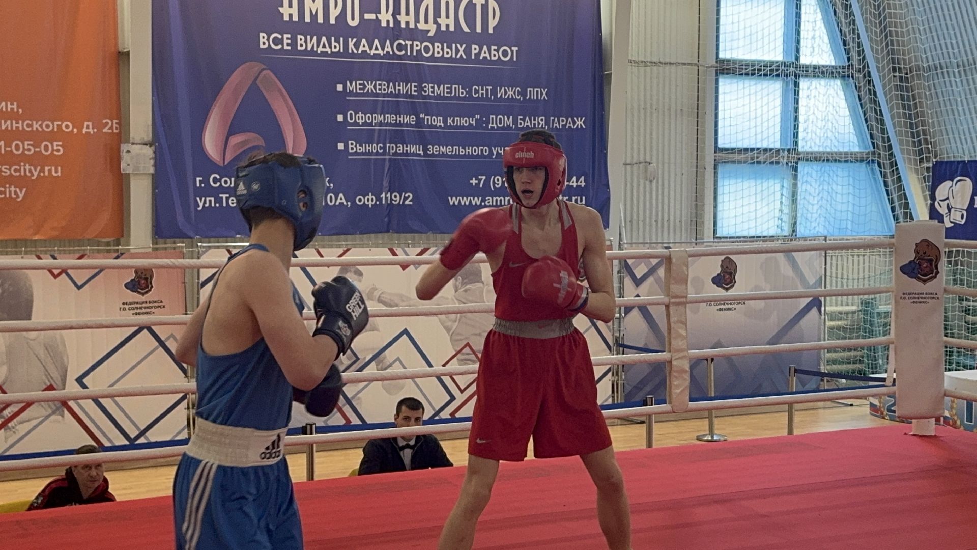 солнечногорск, спорт, бокс, чемпионат, медали,