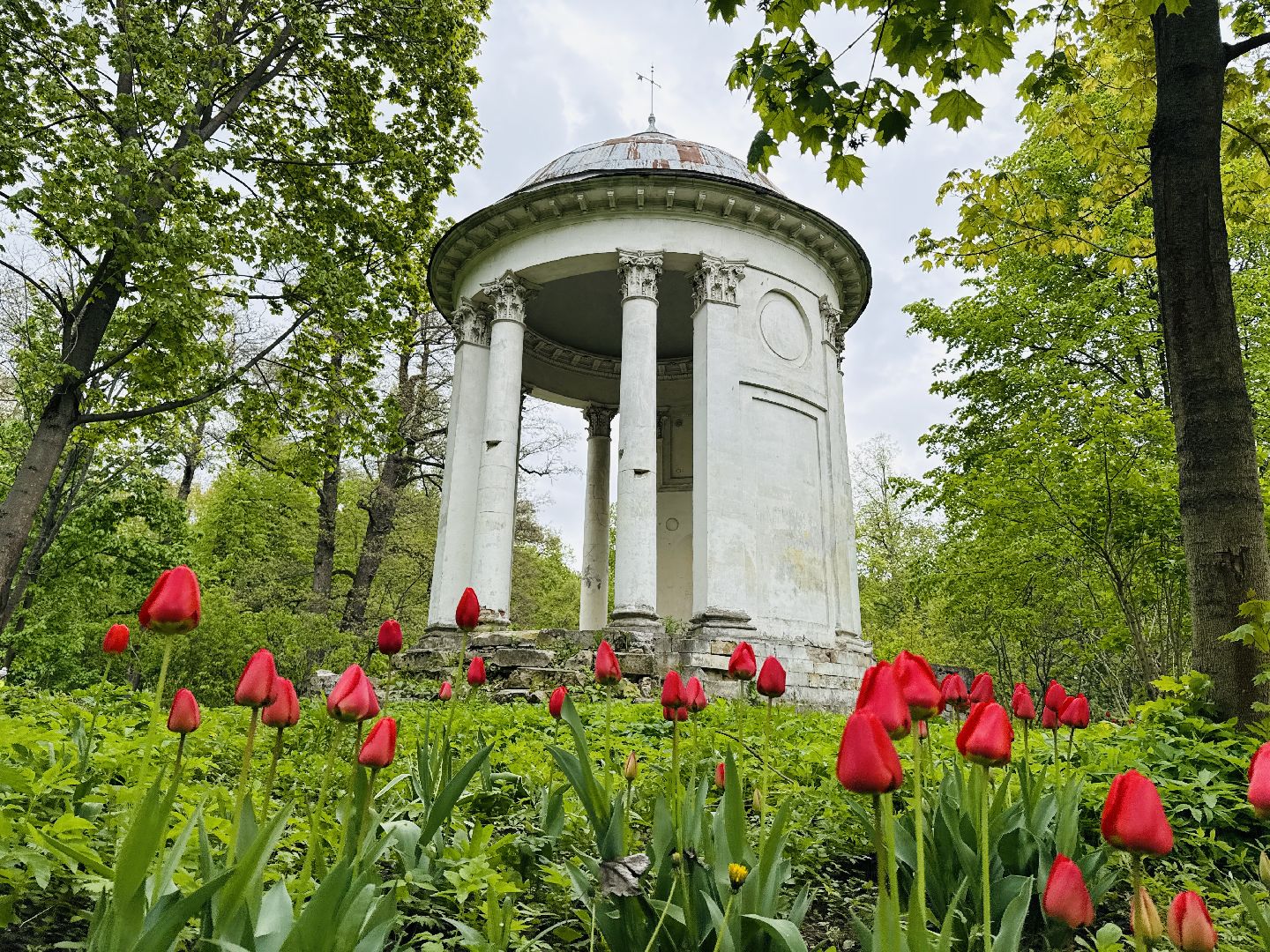 раменское , усадьба быково, пленэр, тюльпаны, достопримечательности,