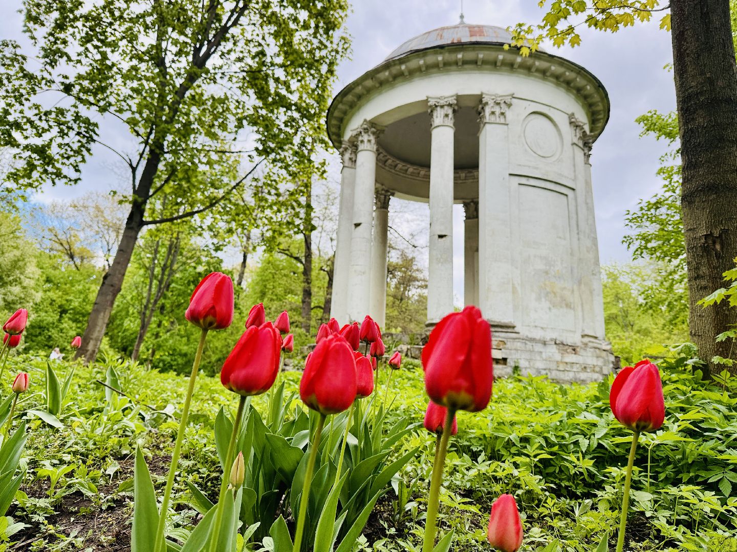 раменское , усадьба быково, пленэр, тюльпаны, достопримечательности,