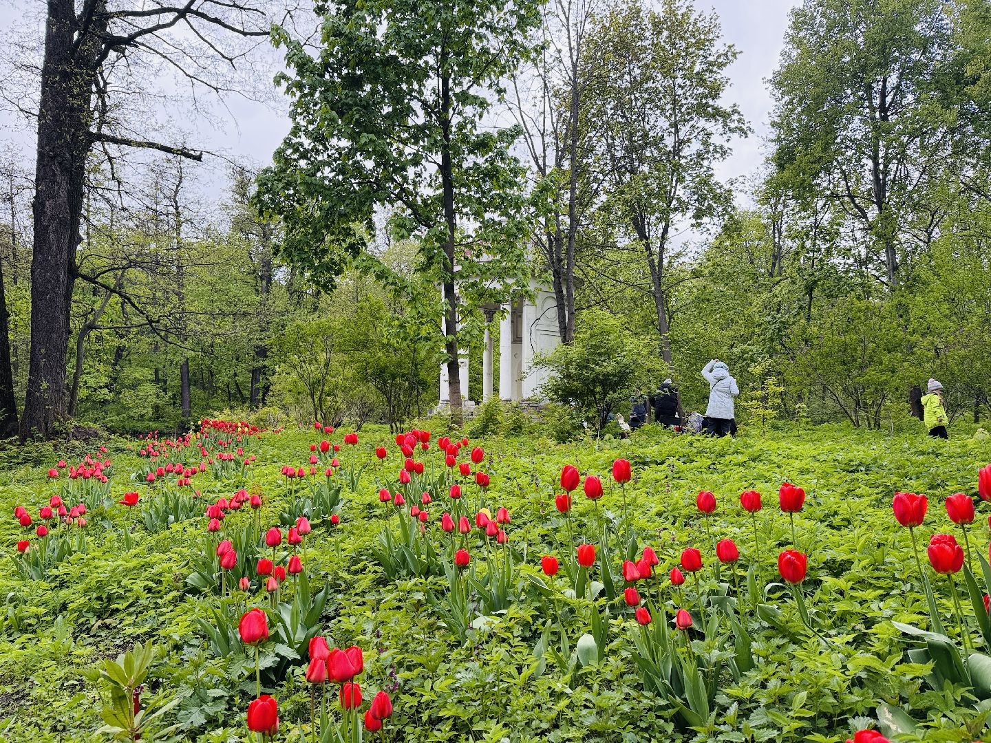 раменское , усадьба быково, пленэр, тюльпаны, достопримечательности,