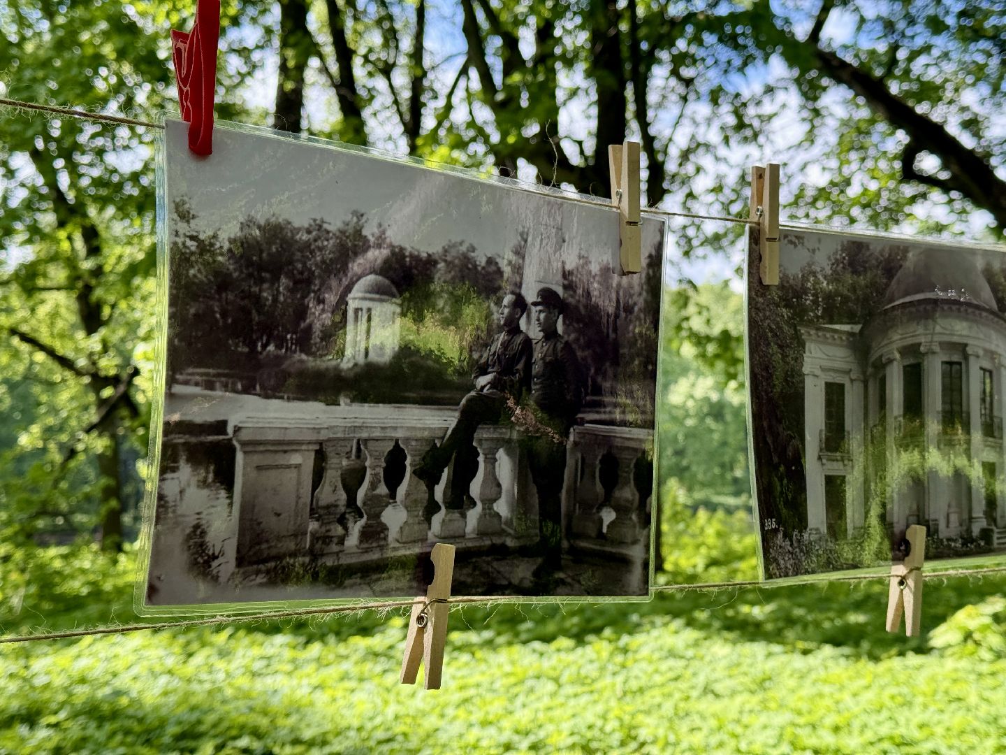 раменское , усадьба быково, пленэр, тюльпаны, достопримечательности,