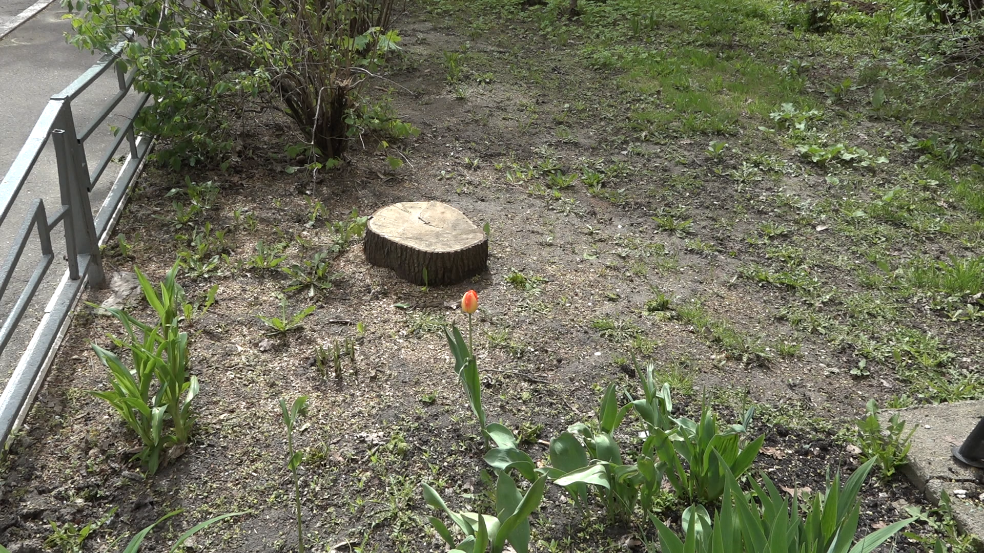 Власиха Солнечный, благоустройство территории, уборка улиц, обращения жителей, Власиха улица солнечная,