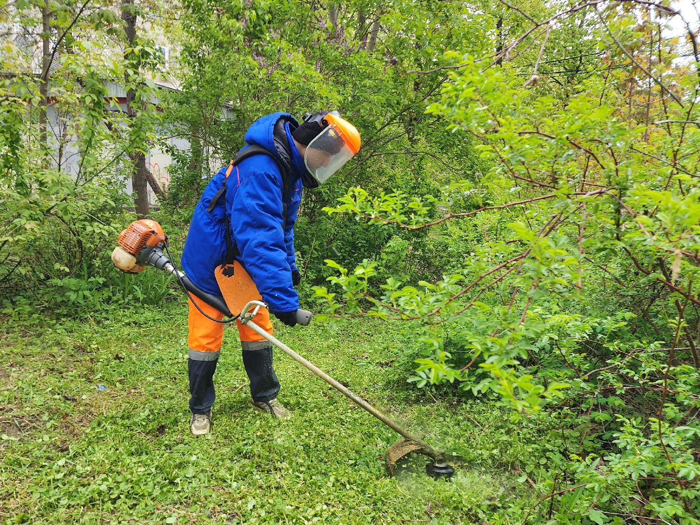 фрязино, уборка улиц, покос травы,