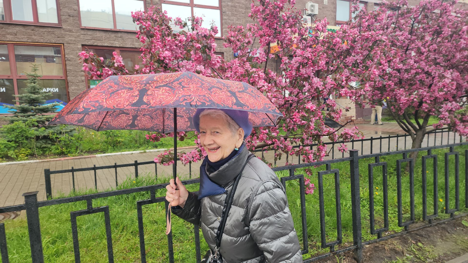 пушкино, цветение, цветение растений, яблоня, красота, весна в подмосковье,вертикалки,