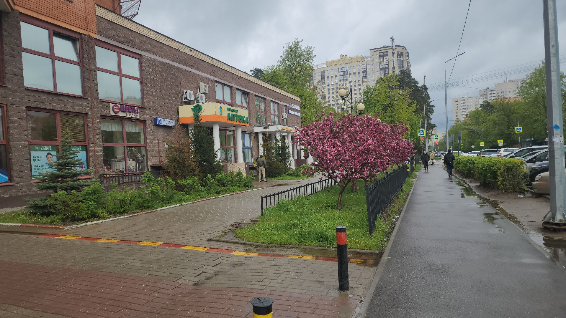 пушкино, цветение, цветение растений, яблоня, красота, весна в подмосковье,вертикалки,