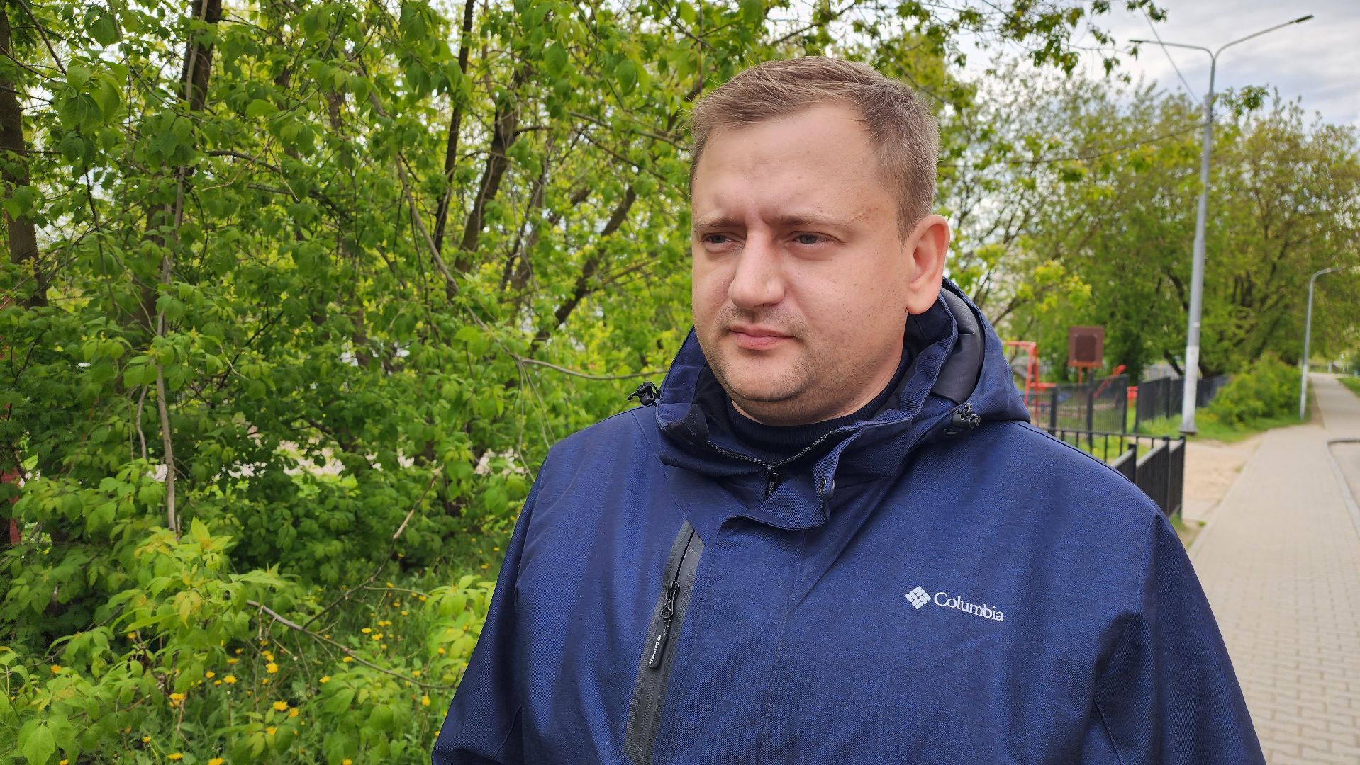 благоустройство, истра, аварийные деревья, добродел,