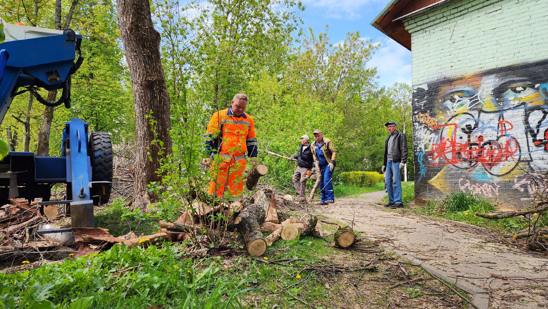 благоустройство, истра, аварийные деревья, добродел,