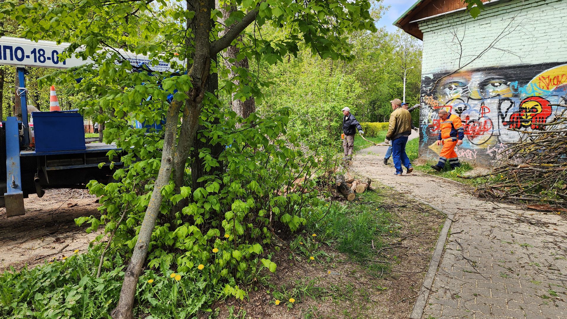 благоустройство, истра, аварийные деревья, добродел,