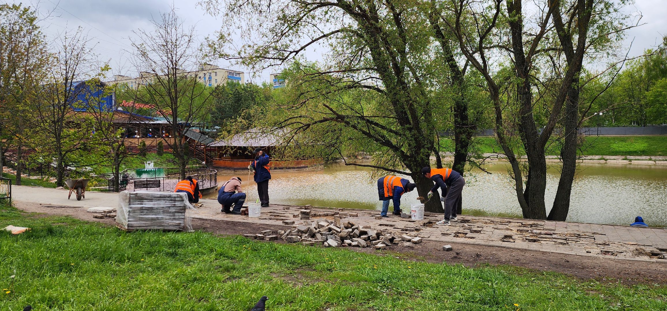 химки, благоустройство , жкх,