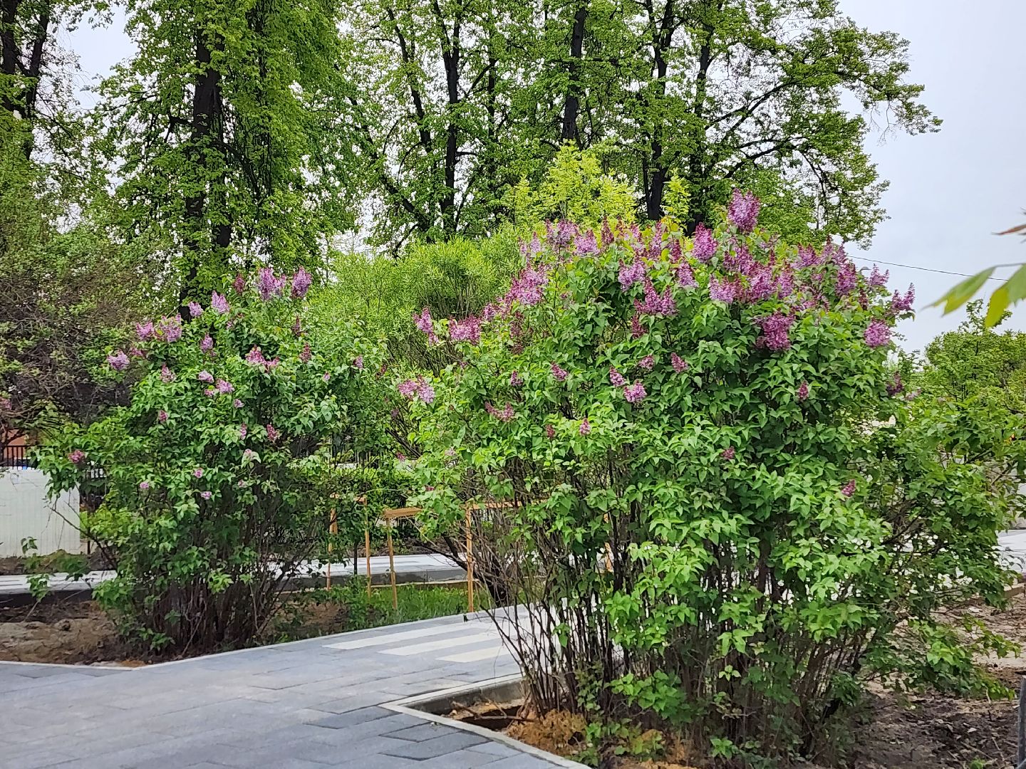 королёв, благоустройство сквера у ркк энергия, достопримечательности, нулевой километр в истории космоса,