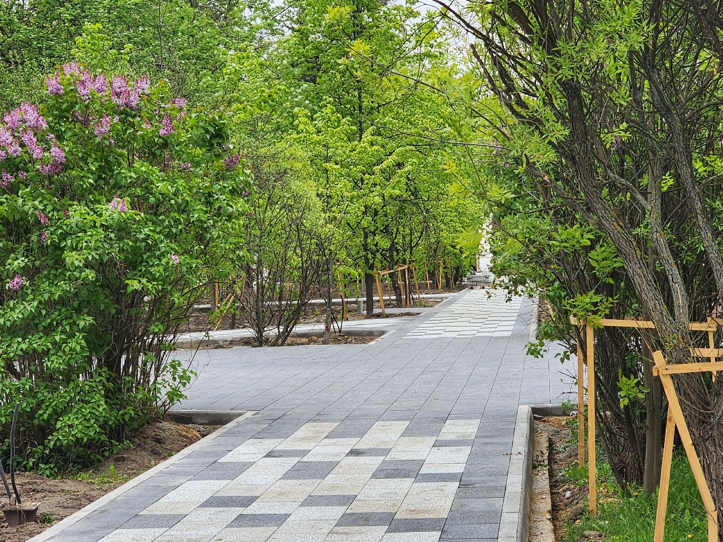 королёв, благоустройство в королеве, губернатор московской области, место для досуга жителей ,