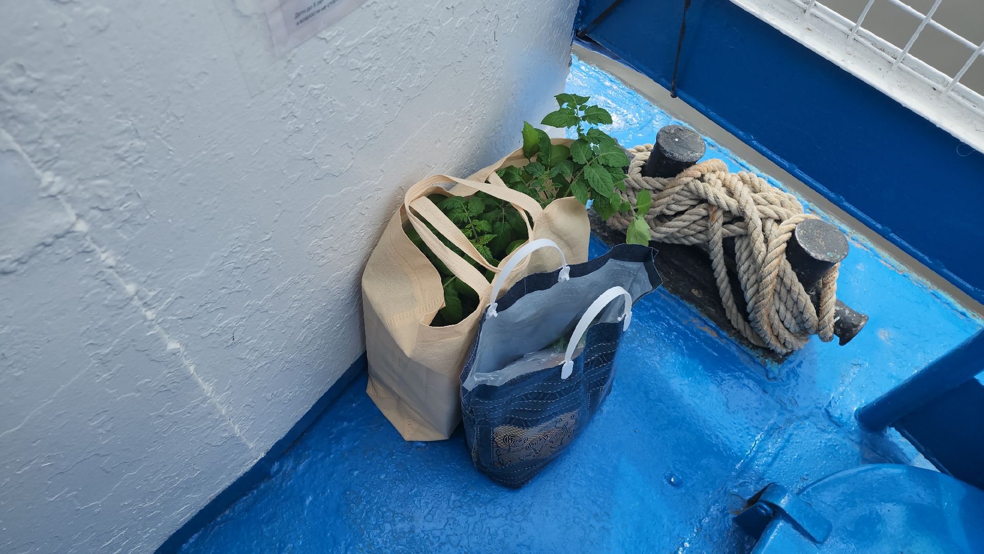 Серпухов , Подмосковье , Зуша,