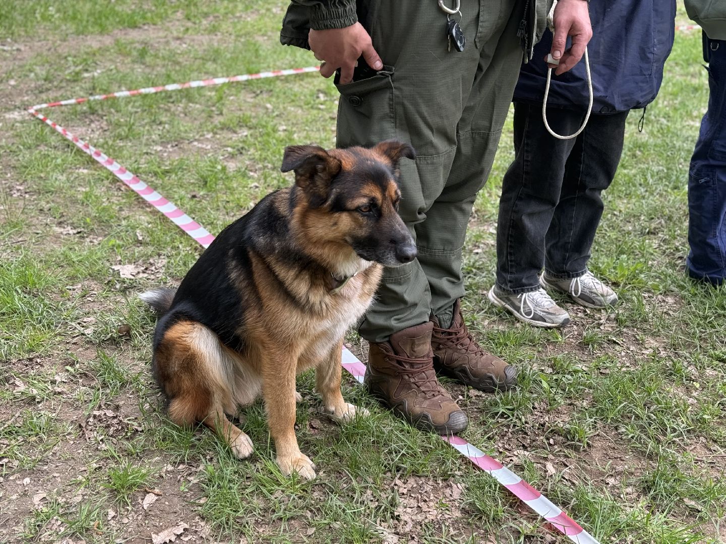 соревнования школа безопасности , ленинский городской округ, школьники ,